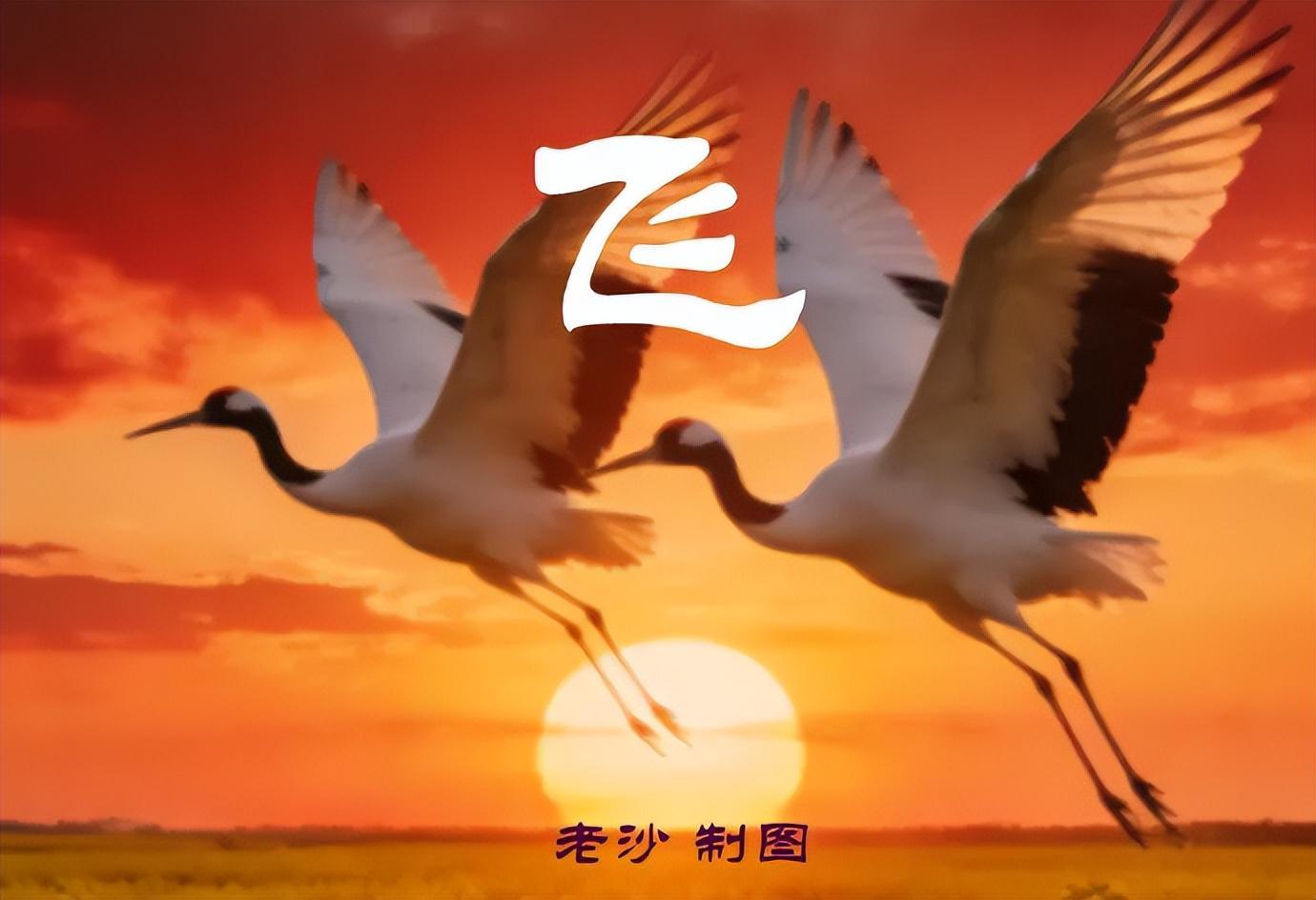 开云体育下载-4.28股市早8点丨英伟达疯了谷歌飙了